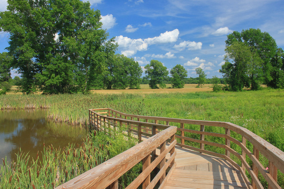 Fort River Birding and Nature Trail Wetland Viewing Area