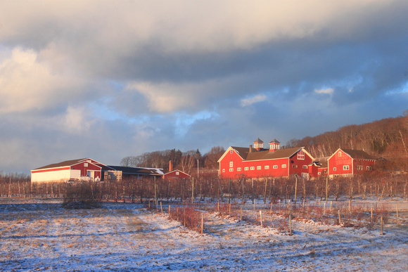 Cold Spring Orchards Belchertown in Winter