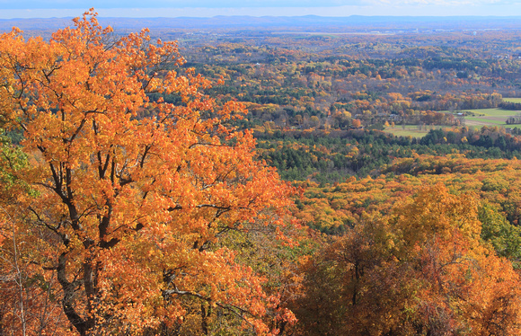 Mount Holyoke Fall Foliage