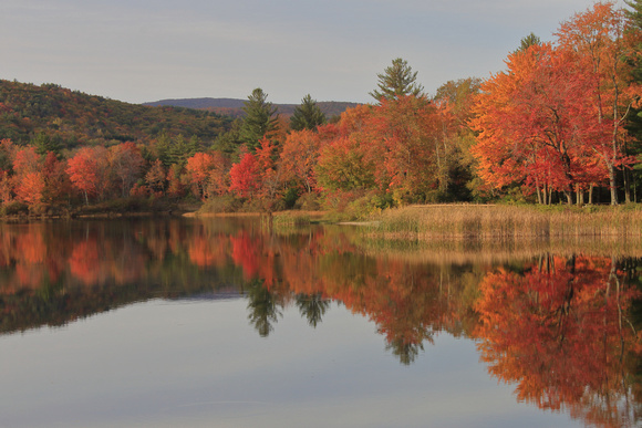 Clarksburg State Park Mauserts Pond Autumn Reflection