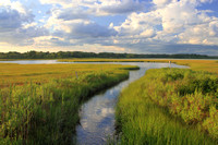 Allens Pond Wildlife Sanctuary Wetland