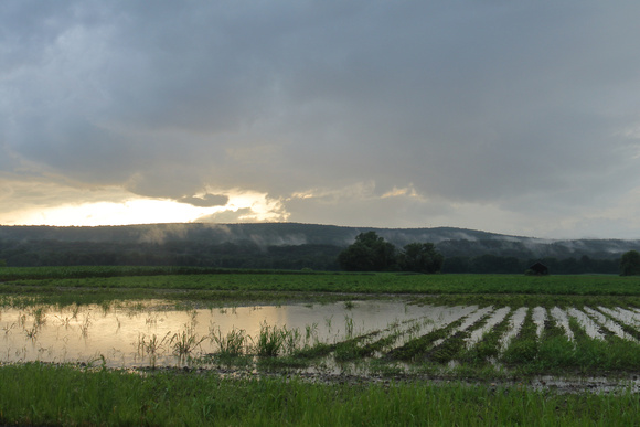 Deerfield MA flooded farm and thunderstorm July 21