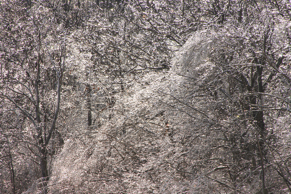 Ice Storm Berkshires 2008