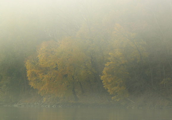 Barton Cove Connecticut River Late Autumn Fog