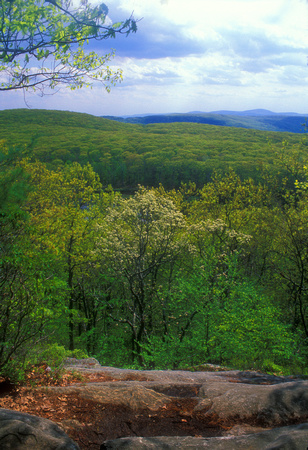Beartown State Forest Appalachian Trail Spring