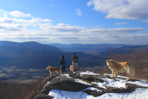 Hikers and Dogs Savoy Mountain Spruce Hill Berkshires