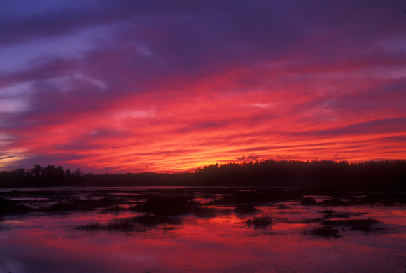Quabbin Reservoir Wetland Sunset