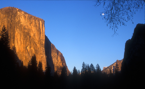 Yosemite Valley Evening Light
