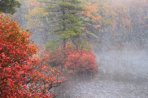 Halloween Snow Storm Leominster State Forest Autumn Snow Squall