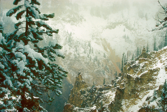 Yellowstone River Canyon June Snowstorm