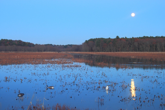 Great Meadows National Wildlife Refuge Full Moon