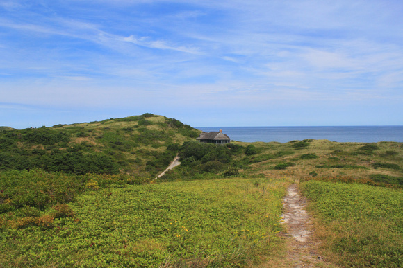 Pamet Trail Bearberry Hill Cape Cod National Seashore