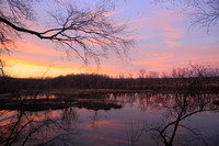 Arcadia Wildlife Sanctuary Marsh Sunset