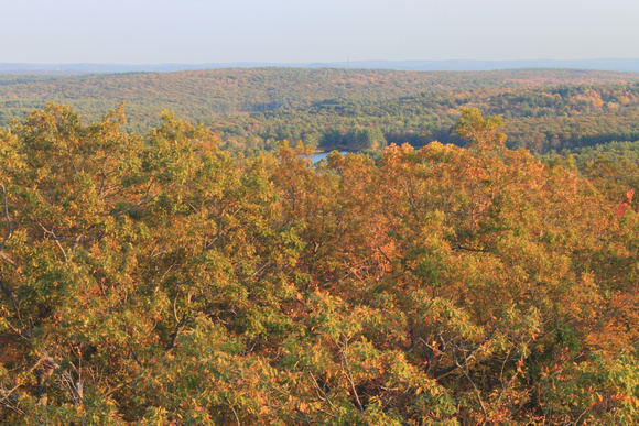 Mount Lincoln Fall Foliage View to Quabbin Reservoir