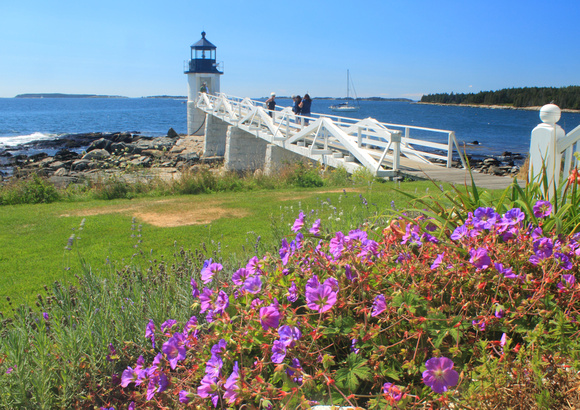 Marshall Point Lighthouse Morning Glory Flowers