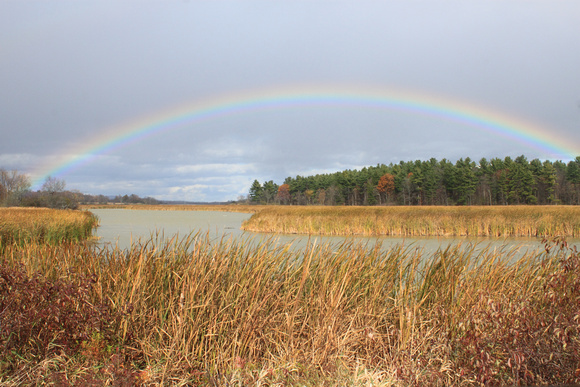 Dead Creek WMA Rainbow over Wetland