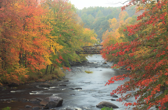 Millers River Fall Foliage South Royalston