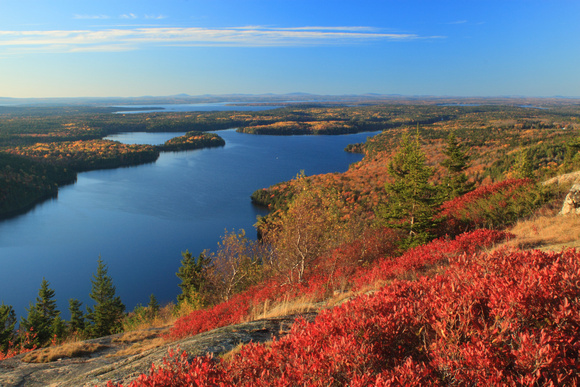 Acadia National Park Beech Mountain Huckleberry Foliage and Long Pond
