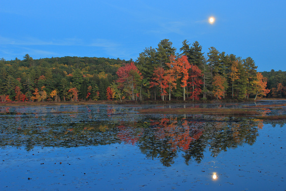 Harvard Pond Autumn Moon