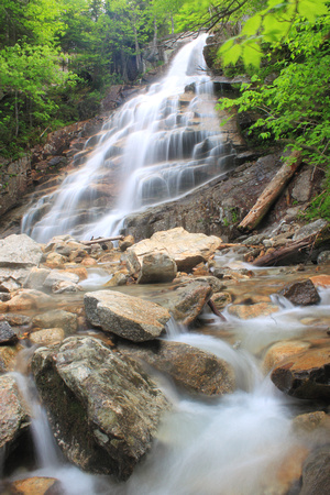 Cloudland Falls and Falling Waters Trail