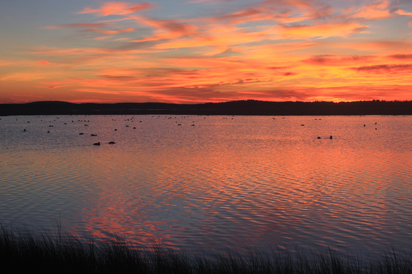 Parker River National Wildlife Refuge Waterfowl Sunset 8540