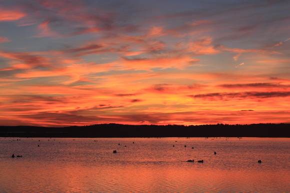 Parker River National Wildlife Refuge Waterfowl Sunset
