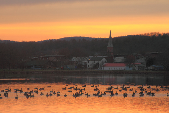 Barton Cove Geese and Turners Falls Sunset