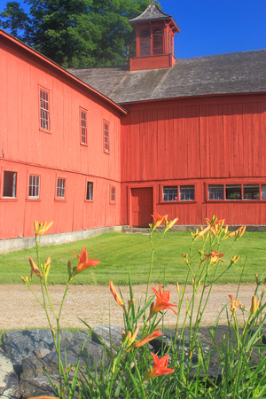 William Cullen Bryant Homestead Red Barn and Day Lilies