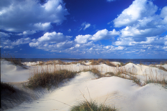 Outer Banks Dunes