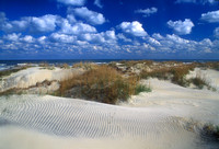Outer Banks Pea Island Dunes