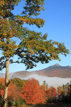 Mount Chocorua Autumn