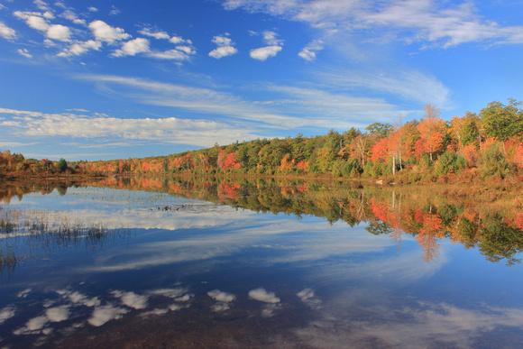 Wendell State Forest Wickett Pond Fall Foliage