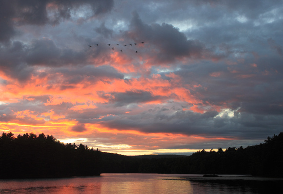 Quabbin Reservoir New Salem Fishing Area Sunset and Geese