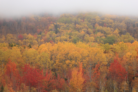 Acadia National Park Fall Foliage