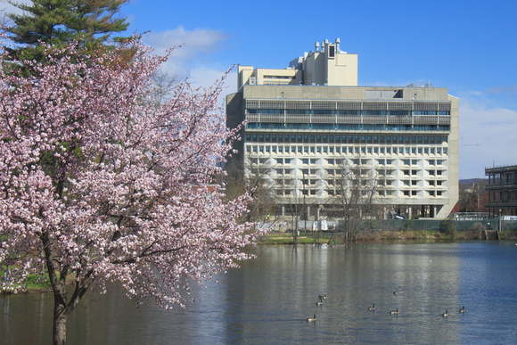 University of Massachusetts Amherst Campus Pond Spring Grad Center