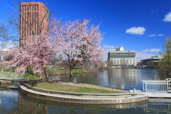 University of Massachusetts Amherst Campus Pond Spring