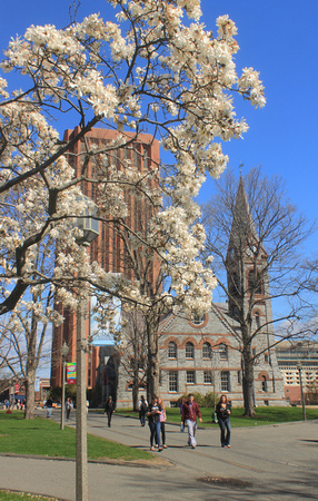 University of Massachusetts Amherst Campus Spring