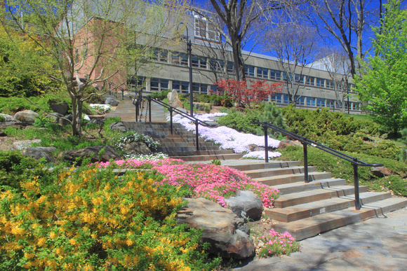 Mount Holyoke College Spring