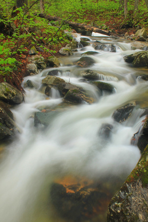Green Mountain Forest Stream on Appalachian Trail
