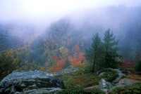 Acadia National Park Beech Cliffs Autumn Fog