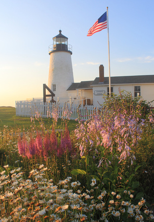 Pemaquid Point Lighthouse Summer Flowers