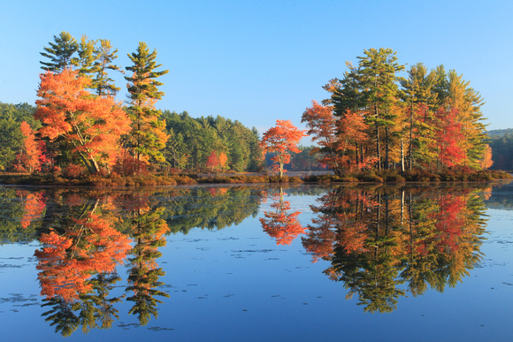 Harvard Pond Autumn Morning
