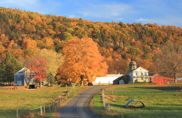 Mount Holyoke and Barstow Longview Farm Fall Foliage