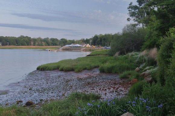 Orleans Town Cove and Irises
