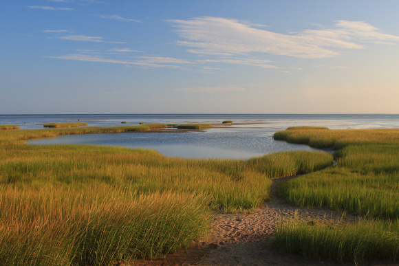 Paine's Creek Marsh and Cape Cod Bay