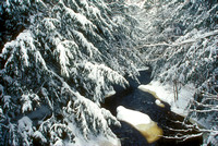 Swift River East Branch Brooks Preserve Harvard Forest 2002