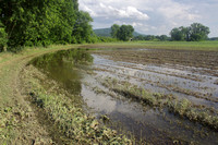 Deerfield MA flooded crop field edge
