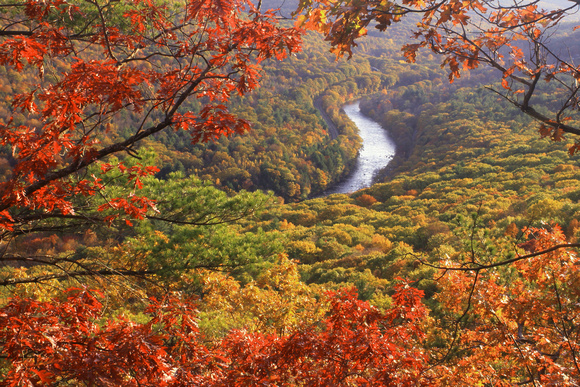 Millers River Valley Fall Foliage Erving