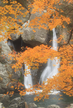 Bash Bish Falls and Fall Foliage
