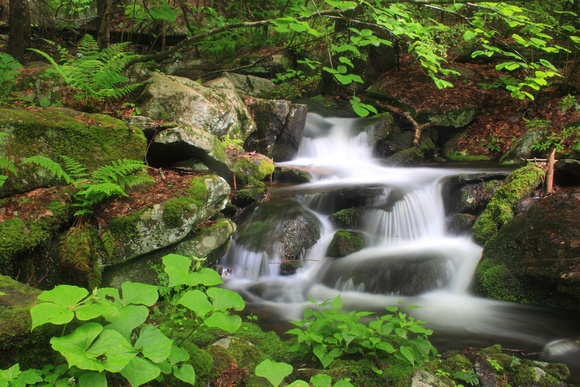 Briggs Brook cascade New England National Scenic Trail